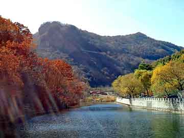 天天彩好彩天天免费，2011夏装图片